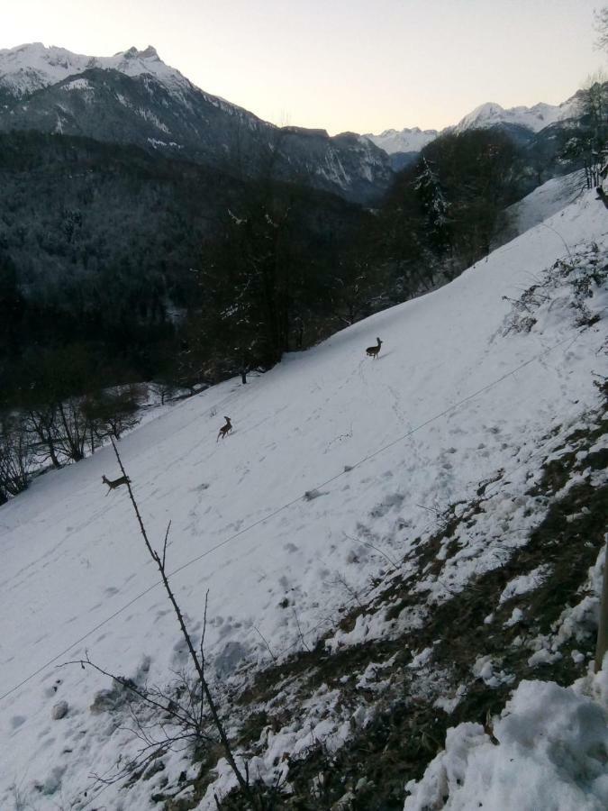 La Petite Grange * Villars-sur-Ollon