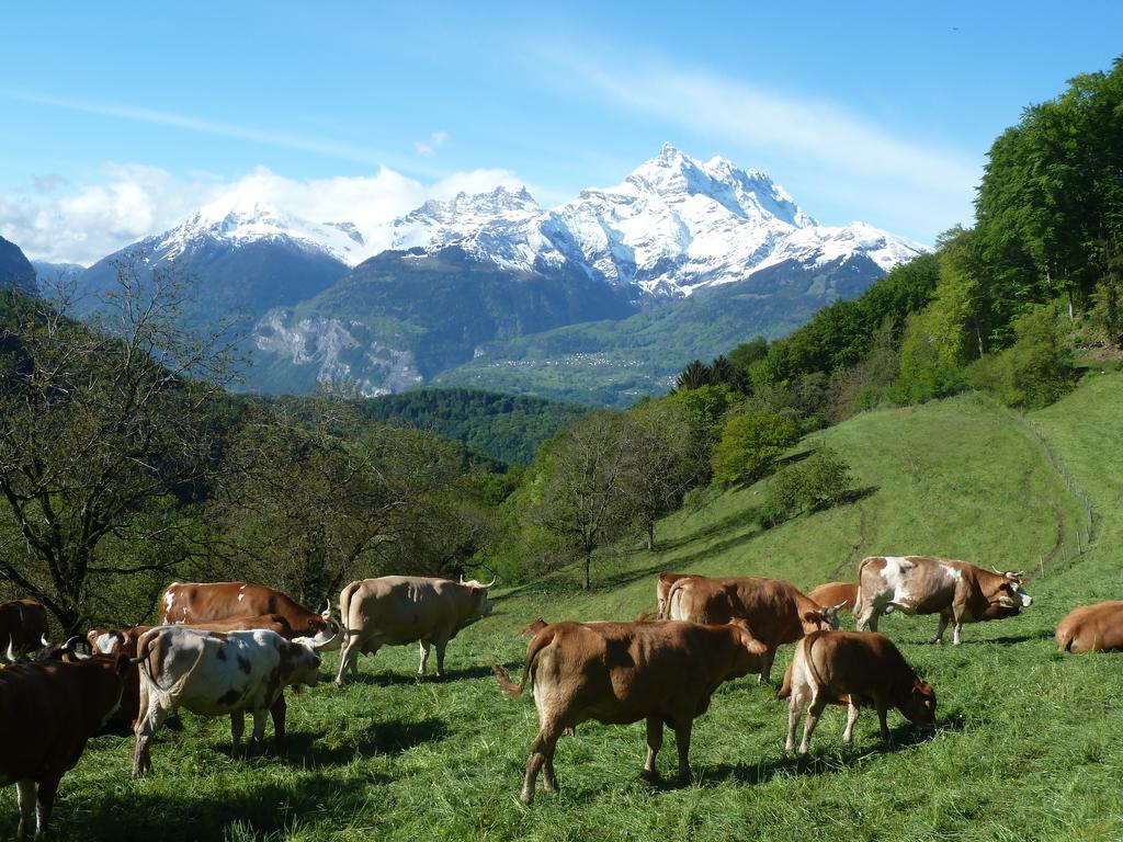 Casa vacanze La Petite Grange